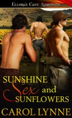 Sunshine, Sex and Sunflowers cover